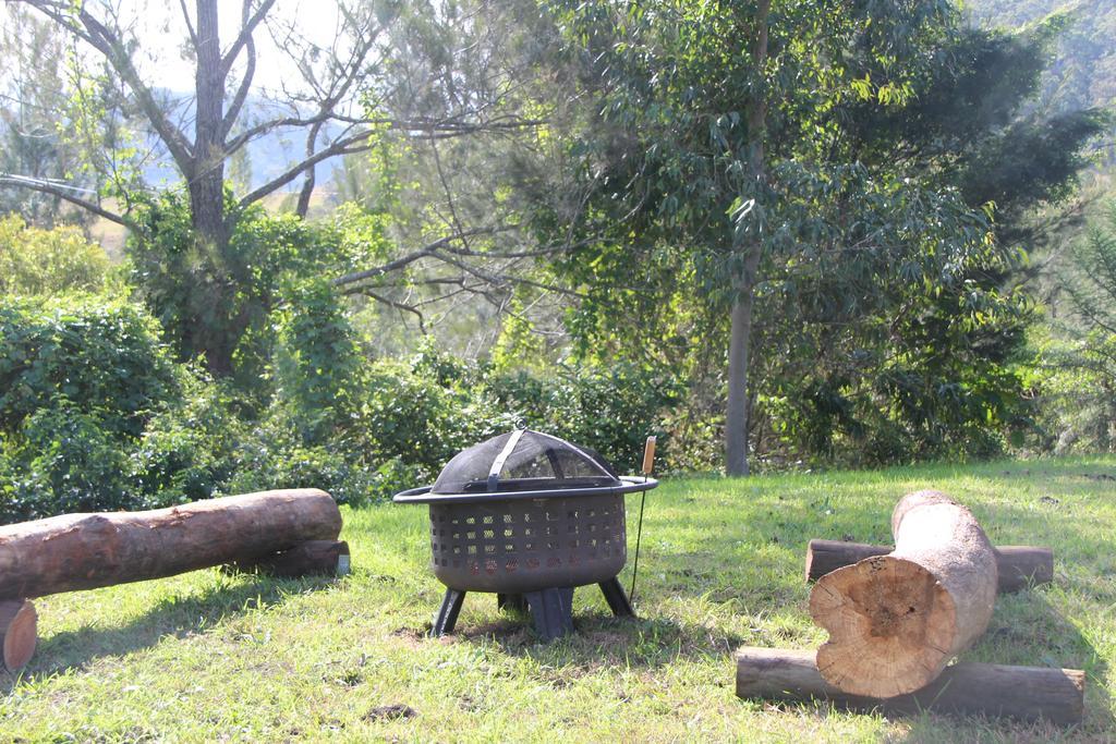 Greenlee Cottages Canungra Экстерьер фото